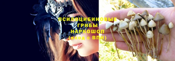ПСИЛОЦИБИНОВЫЕ ГРИБЫ Абинск