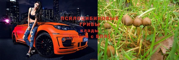 ПСИЛОЦИБИНОВЫЕ ГРИБЫ Абинск