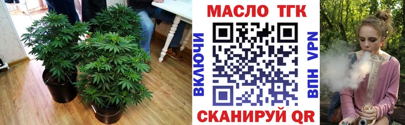 купить наркотики цена  Псков  ТГК THC oil 