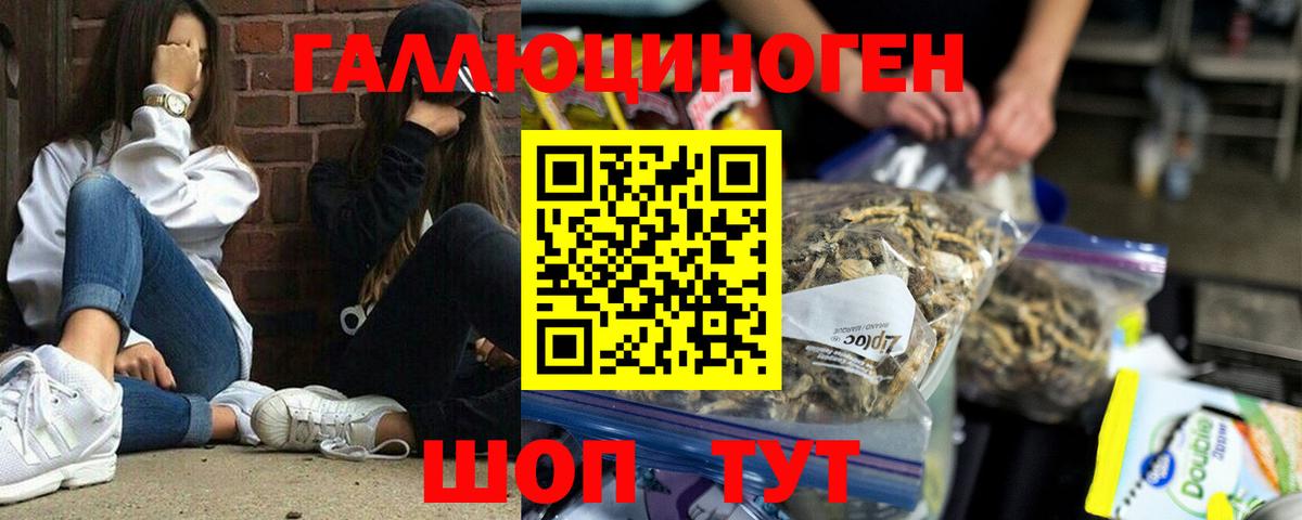 Псков  Галлюциногенные грибы прущие грибы  Галлюциногенные грибы прущие грибы  Вход с VPN 